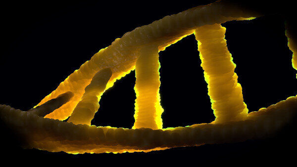 DNA – The Liquid Gold